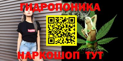 эйфоретик Гусь-Хрустальный
