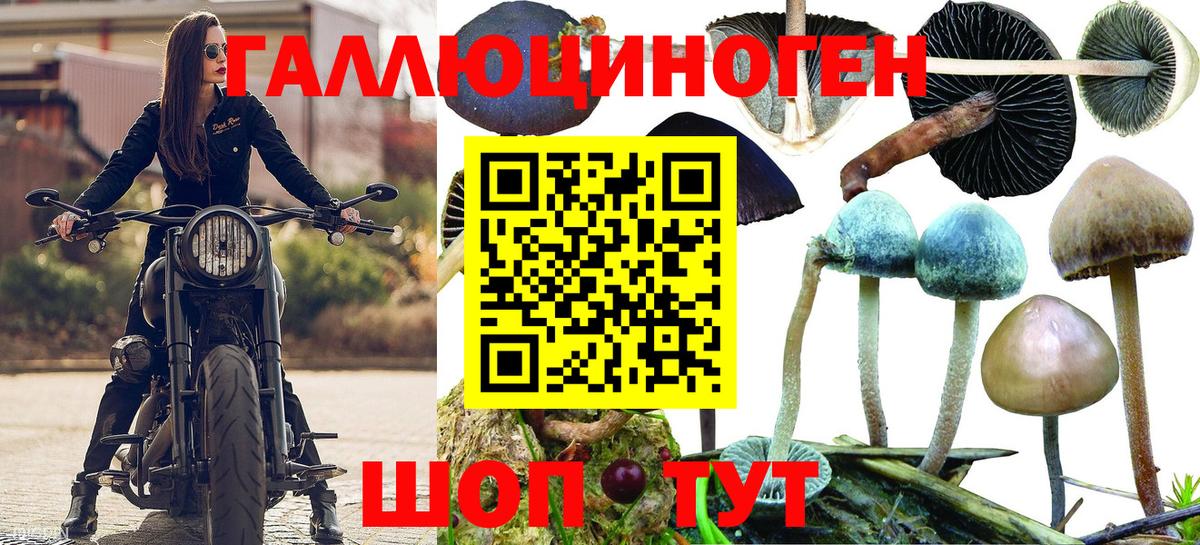 Галлюциногенные грибы Magic Shrooms Лыткарино