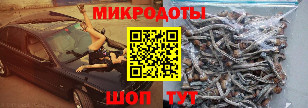 Лыткарино  Псилоцибиновые грибы мухоморы  Галлюциногенные грибы мицелий  Вход с VPN 
